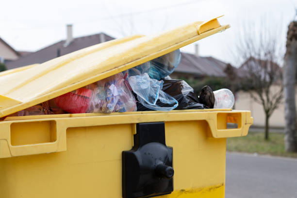 Best Recycling Services for Junk in Williamston, MI